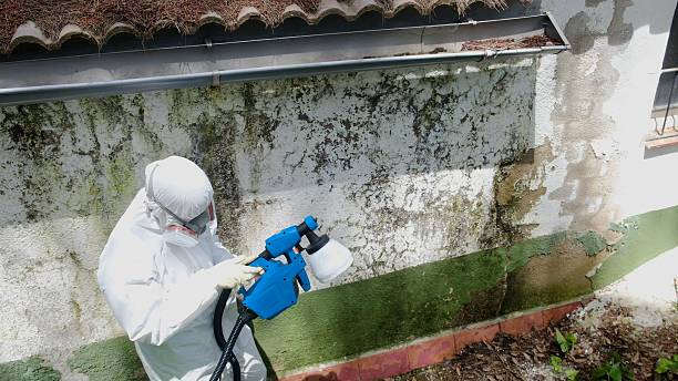 Top rated local Mold Remediation specialists in Clinton, KY
